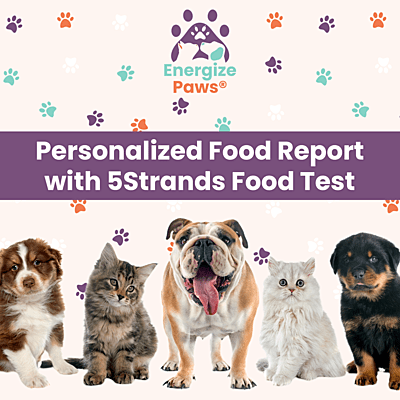 Personalized Food Report with 5Strands Food Test