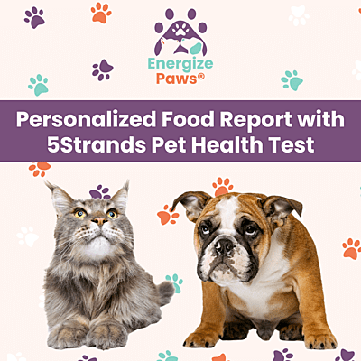 Personalized Food Report with 5Strands Pet Health Test
