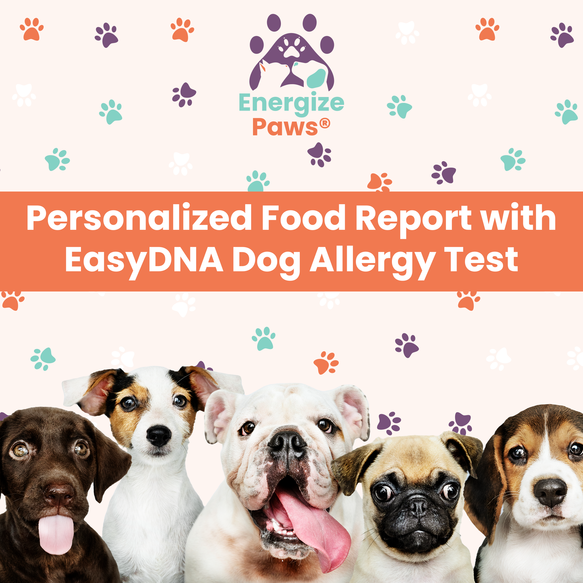 Personalized Food Report With EasyDNA Allergy Test