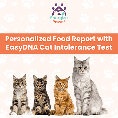 Personalized Food Report with Cat Intolerance Test