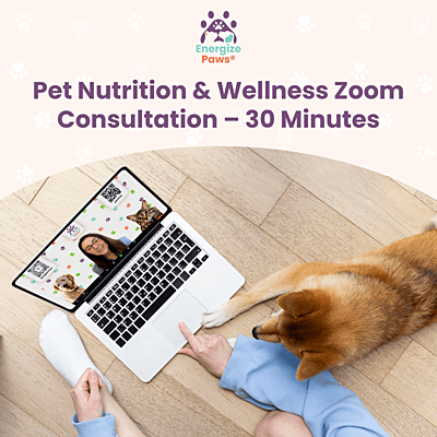 Pet Nutrition & Wellness Zoom Consultation – 30 Minutes