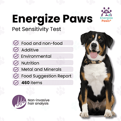 Energize Paws Sensitivity Test