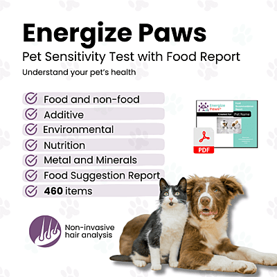 Energize Paws Sensitivity Test + Food Recommendation Report